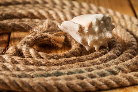 Seashell and rope on a light wooden backgroundの写真素材