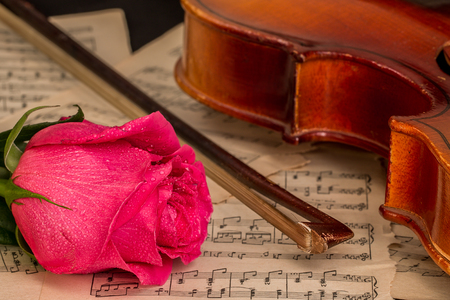 A violin,  rose and sheet musicの写真素材