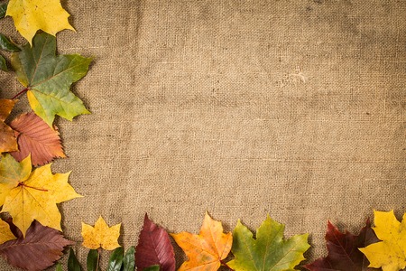 Autumn Leaves over Burlap background.の写真素材