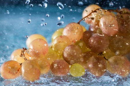 Fresh grapes in drops and splashes of falling water. Shallow depth of fieldの写真素材