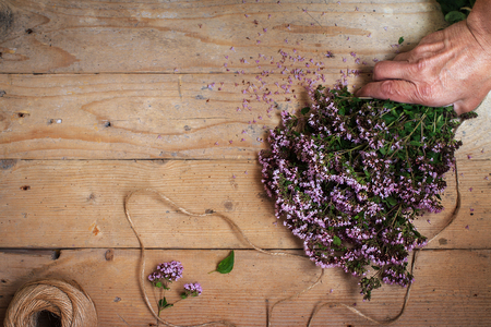 bouquet of oregano marjoram on a wooden rustic backgroundの写真素材