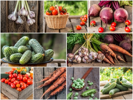 Photo of colorful vegetable mix. Collection of color vegetables.  Collage of fresh ripe food. Healthy eating backgroundの写真素材