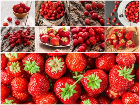 Collage of mixed red strawberry berries. Collection of strawberry berries.  Collage of fresh ripe food. Healthy eating backgroundの写真素材