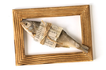 Isolated dried fishes for beer on white background.