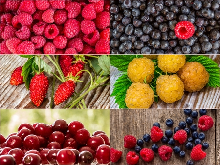 Colorful collage of different fruits and berries, for a food background. Photo of mixed various kinds of berriesの写真素材