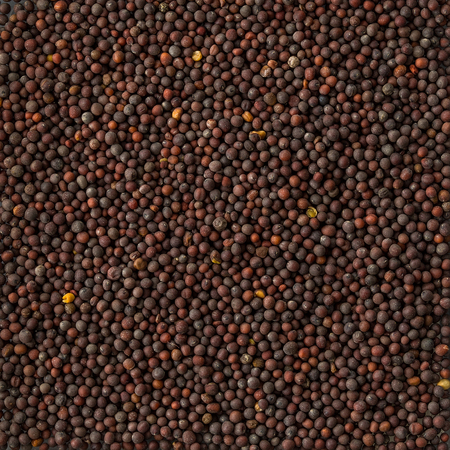 Background texture of a pile of black mustard seeds. Organic food, healthy lifestyle, space for textの写真素材