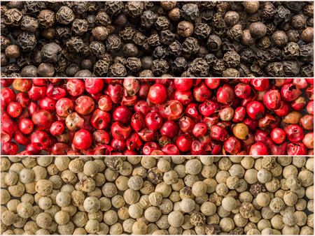 Three variations of peppercorns.  Photo of colorful mix stripes with spices backgrounds. Collection...