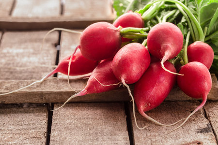 Fresh bunch of radish on rustic  table. bright clean red radish on a grey rough grunge wooden table....