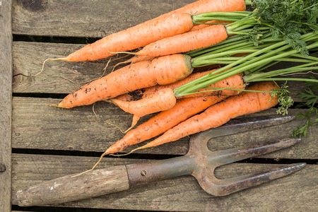 Bunch of carrots on old cutting board.  Vegetables harvest. Natural organic healthy food concept. Top viewの写真素材