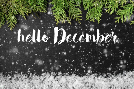 HELLO DECEMBER greeting card. concept of the fall season. Great season texture with december and winter moodの写真素材