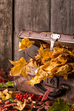 Retro suitcase with autumn leaves on wooden background. Autumn still life.  Suitcase full of yellow maple leavesの写真素材