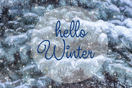 Hand drawing Hello Winter inscription. Winter holiday composition. Fir branches in the snow. Great season texture with winter mood.