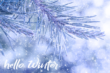 Hand drawing Hello Winter inscription. Winter holiday composition. Fir branches in the snow. Great season texture with winter mood.の写真素材