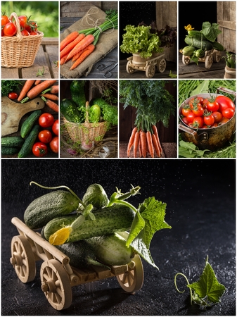 Collage of different vegetables. Collection with color  vegetables. Healthy food background. products of vegetable garden. vegan foodの写真素材