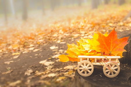 Autumn leaves on a wooden cart. concept of the fall season. Composition in park. Autumn maple leaves background. soft selective focusの写真素材