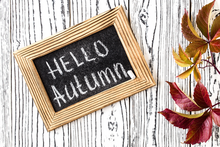 Hello autumn greeting text on chalkboard. White  wooden background with colorful autumn leaves. Top view.の写真素材