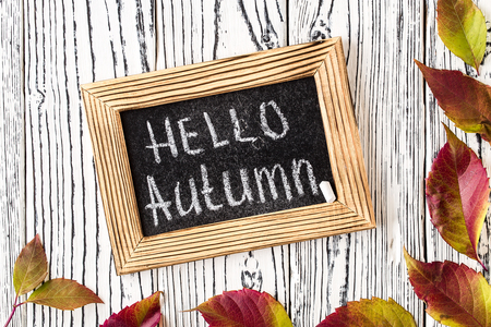 Hello autumn greeting text on chalkboard. White  wooden background with colorful autumn leaves. Top view.の写真素材