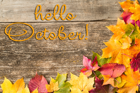 HELLO AUTUMN greeting card.  Colorful autumn dry leaves on rustic wood background. Empty space for copy, text, lettering. Autumn maple leaves background. Top viewの写真素材