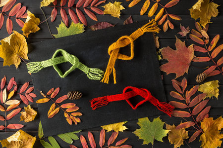 Creative Still Life Autumn Composition. Frame Made of autumn leaves and Scarf. Copy Space.