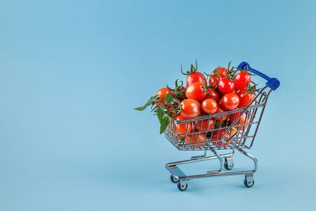 juicy tomatoes in shopping cart on blue paper background. Copy space.Trendy minimal styleの写真素材
