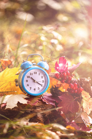 Vintage alarm clock and maple tree leaves in autumn forest.