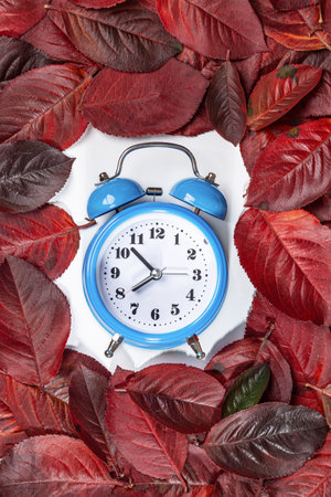 Autumn leaves frame with an alarm clock on a white background.