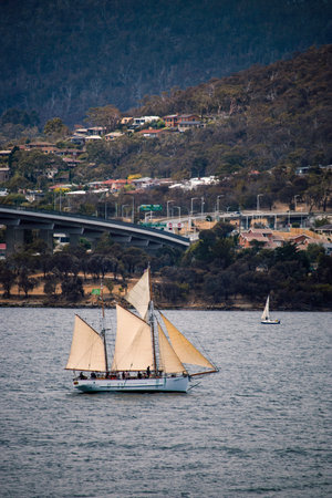 Sailboats on a river with a town and a highway bridge in the background