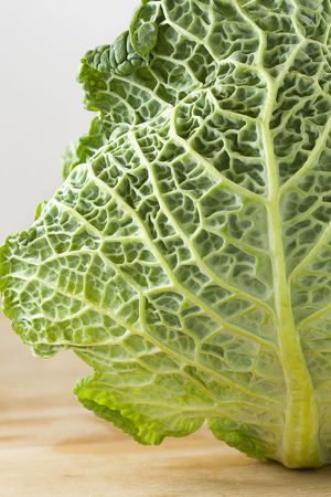 Close up single leaf cabbage on table.の写真素材