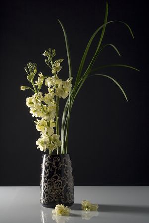 Fresh flowers in black vase, split lighting.の写真素材