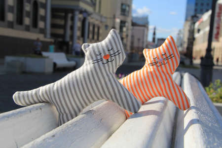 Sunny summer day and lovers toy cats sleep on a white benchの写真素材