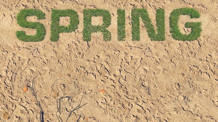 Spring text made from fresh grass among a barren land の写真素材