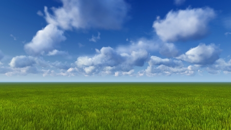 Simple rural scene - only green grass and cloudy skyの写真素材