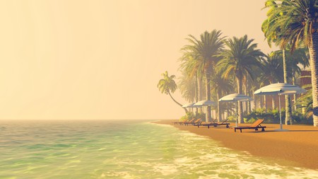 Sandy tropical beach with palm trees, deckchairs and parasols at sunsetの写真素材
