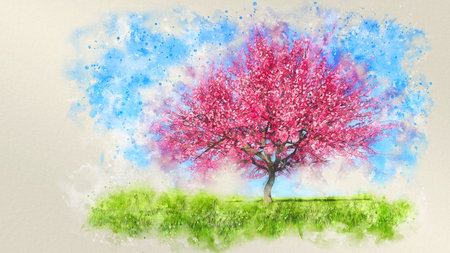 Watercolor sketch of lush blooming single sakura cherry tree on a field covered with green grass against clear blue sky at spring day. Digital art illustration from my own 3D rendering file.の写真素材