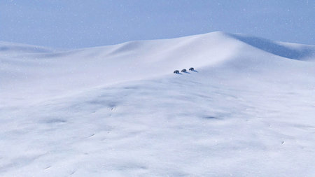 Winter landscape with group of 4x4 off-road SUV cars driving through snowy arctic desert land at bad...