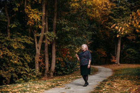 A happy elderly woman walks along the path in the autumn park. She is beautifully dressed, smiling while enjoying the walk and holding a sprig of leaves in her hand.の写真素材