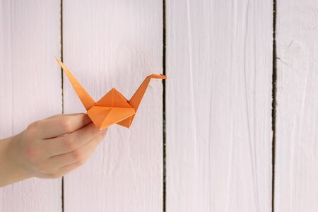 A girl is playing with an origami crane made of paper that she made herself. On a wooden backgroundの写真素材