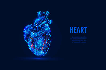 The concept of cardiology. Vector futuristic low-poly human heart, which consists of glowing lines, stars, triangles, lines isolated on a dark blue background. Modern frame design. Vector illustrationのイラスト素材