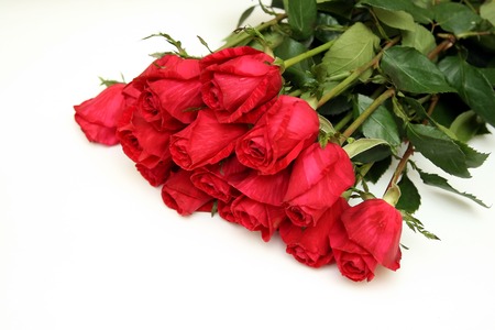 Bouquet of red roses on a white backgroundの写真素材