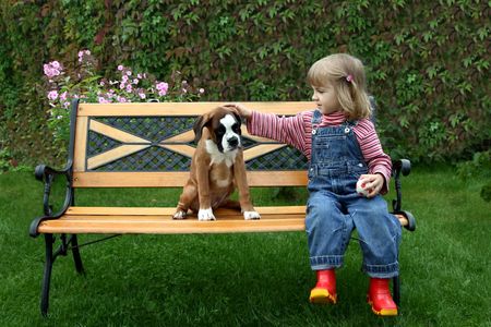 The little girl sits on a bench with the puppy of the boxerの写真素材