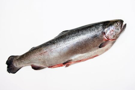 Fresh salmon. Isolation on white.の写真素材