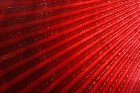 Sea shell close-up can be used as a backgroundの写真素材