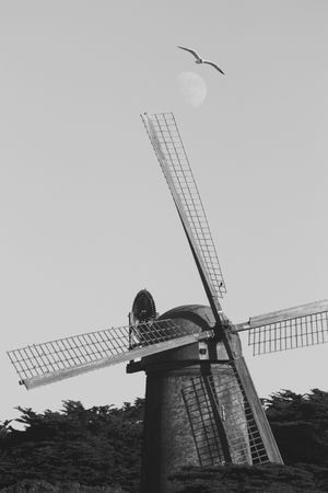 Windmill
