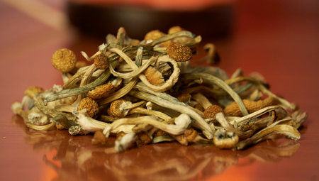 Dried psilocybin mushrooms on wooden tableの写真素材