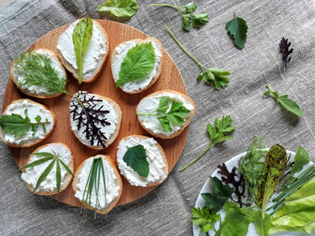 laying on a burlap of fresh greens and sandwiches with soft cheese . horizontal photo concept...