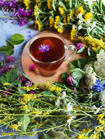 fresh medicinal herbs and a mug of tea on a concrete tableの写真素材