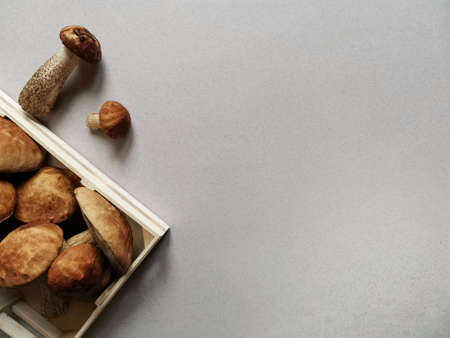 A box with wild mushrooms on grayの写真素材