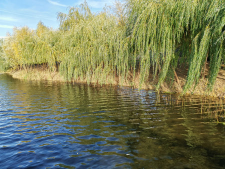 Lake Kaban in center of the city Kazan, Russia