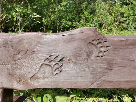 an old wooden sign with bear tracks on a green background of the forestの写真素材