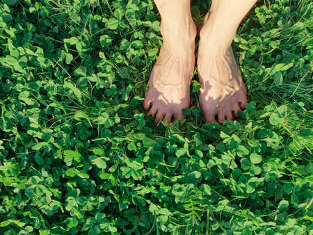 womens feet stand in the green grass of clover. Top viewの写真素材
